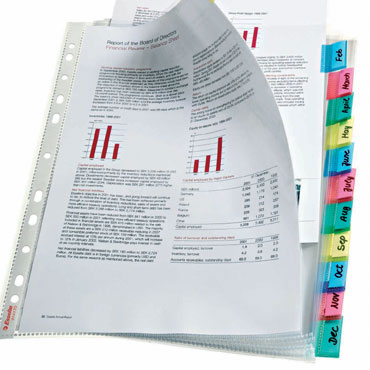12 fundas taladros PP índice Din A-4 Esselte 414170 12 fundas taladros PP índice Din A-4 Esselte 414170