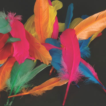 50 plumas de indio 6 colores Niefenver 0900208 50 plumas de indio 6 colores Niefenver 0900208