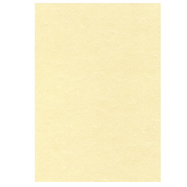 Papel pergamino champán 50HJ Din A-4 165 g/m² Apli PCL1677