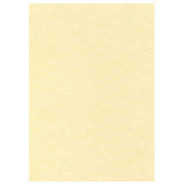 Papel pergamino champán 25HJ Din A-4 95 g/m² Apli SCL2058