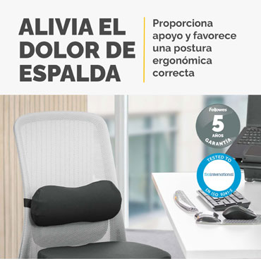 Cojín Lumbar Fellowes Breyta Negro 1000119853