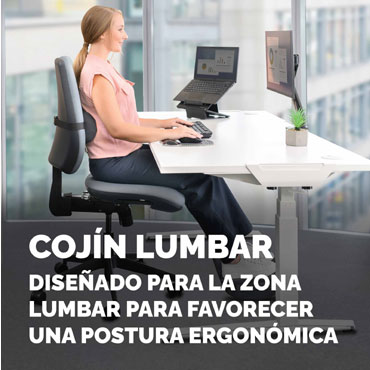 Cojín Lumbar Fellowes Breyta Negro 1000119853