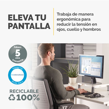 Elevador para Monitor Fellowes  Gris