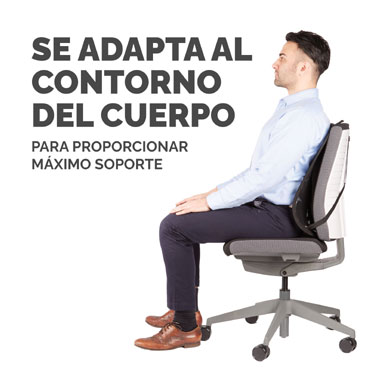Respaldo Lumbar Mesh Office Suites  Fellowes Negro 9191301