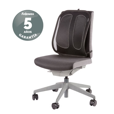 Respaldo Lumbar Mesh Office Suites  Fellowes Negro 9191301