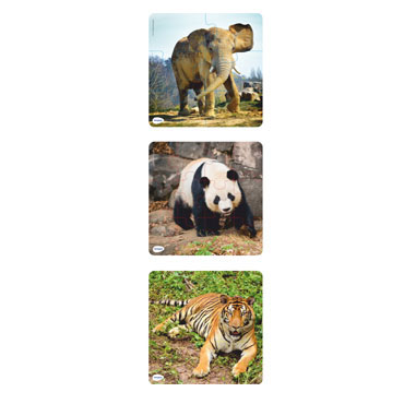 Puzzles progresivos Animales Miniland 36060