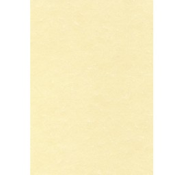 Papel pergamino champán 100HJ Din A-4 95 g/m² Apli PCL1601