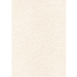 Papel pergamino gris100HJ Din A-4 95 g/m² Apli PCL1602