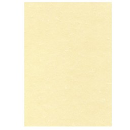Papel pergamino champán 50HJ Din A-4 165 g/m² Apli PCL1677