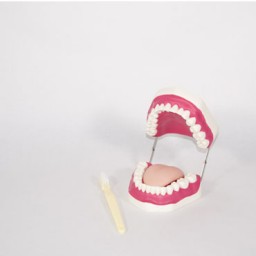 Higiene dental