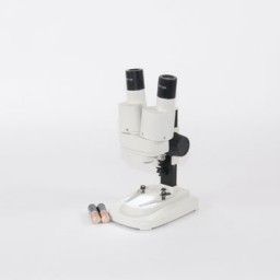 Lupa binocular