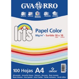 100HJ papel Iris de colores surtidos 80 g/m² A-4 Canson C200404616